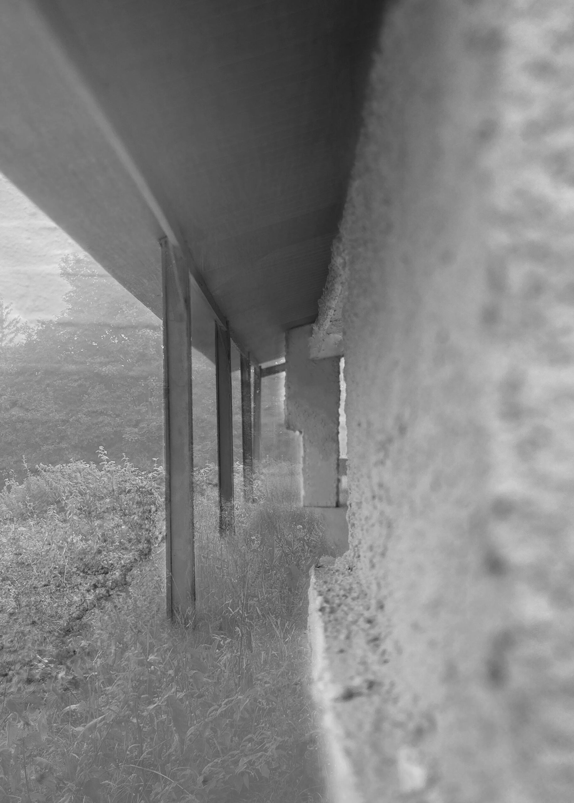 Reinterpreting a hay barn into an archival studio