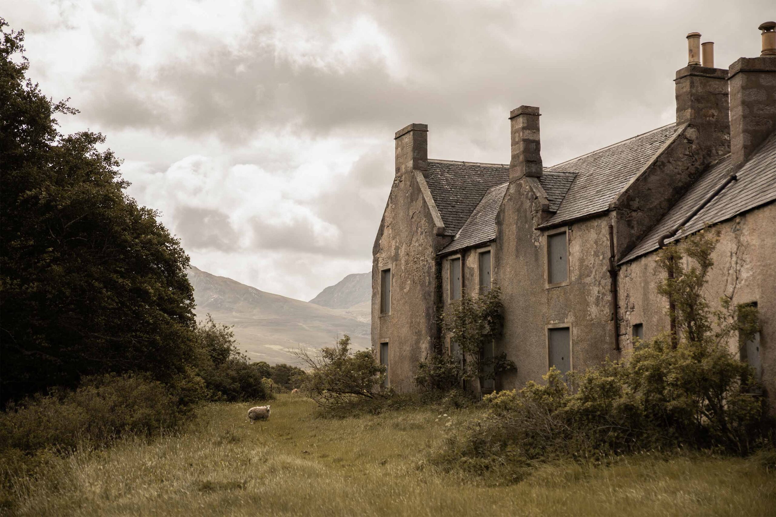 A trip to the Scottish wilderness