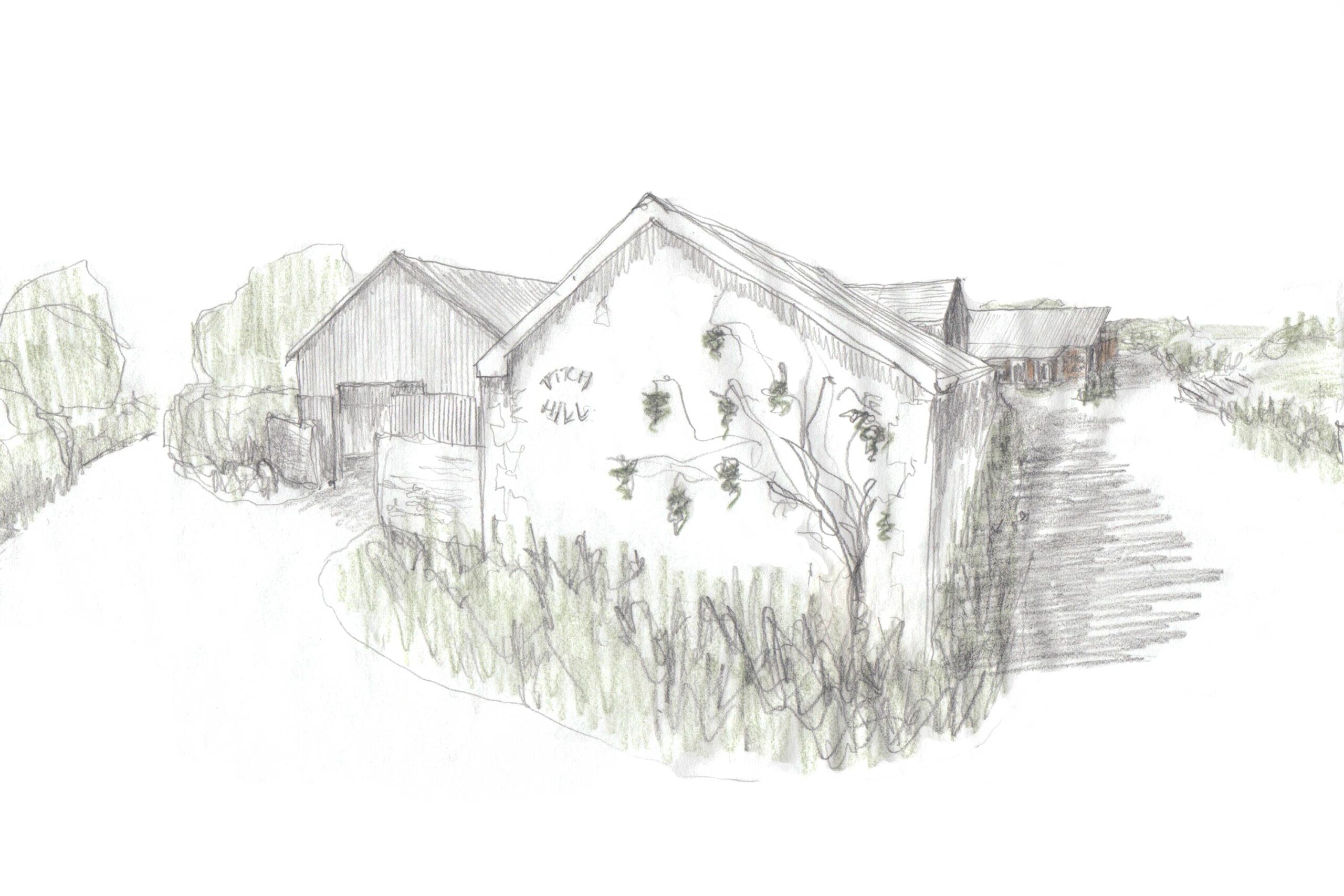 Crafting an English winery