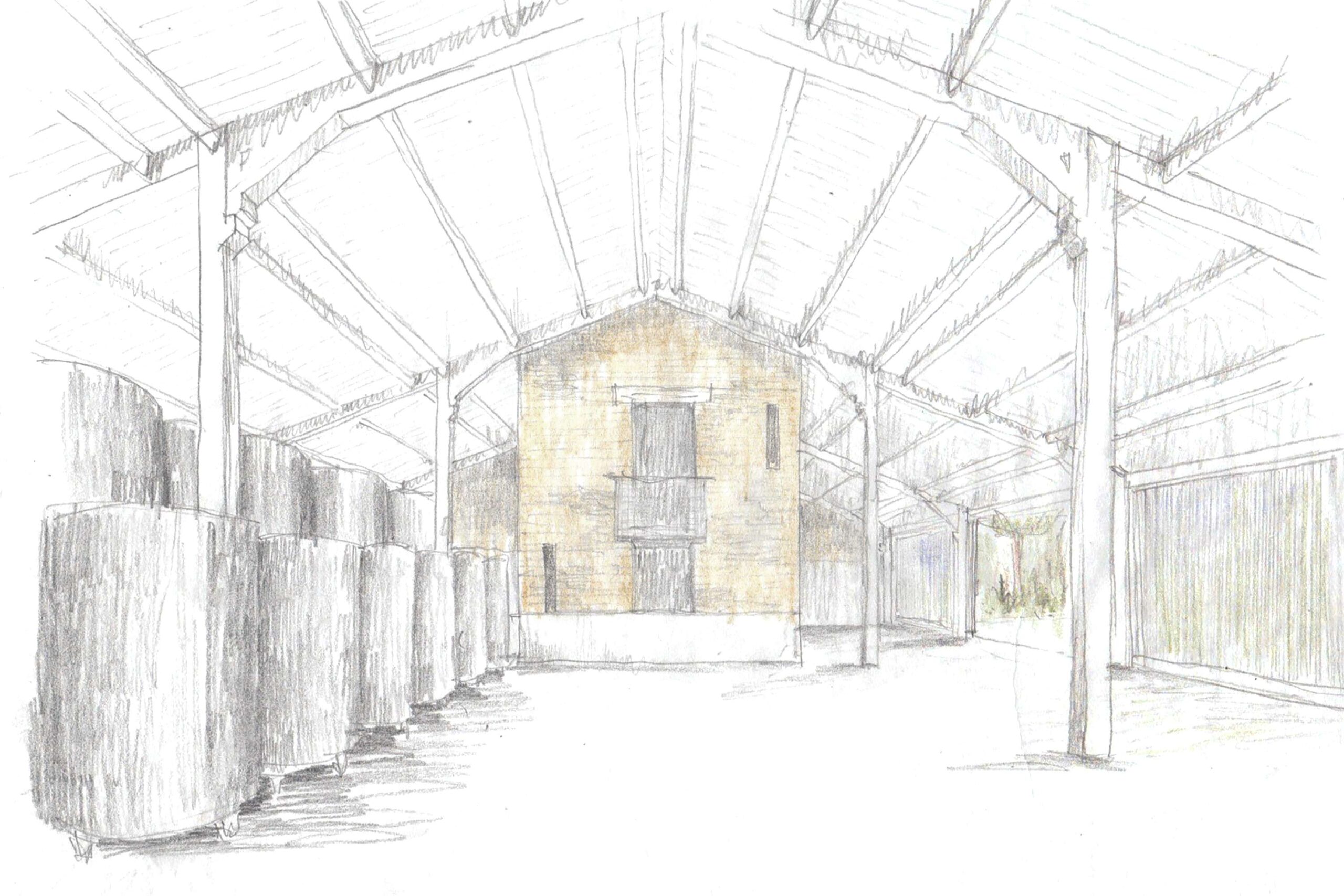 Crafting an English winery