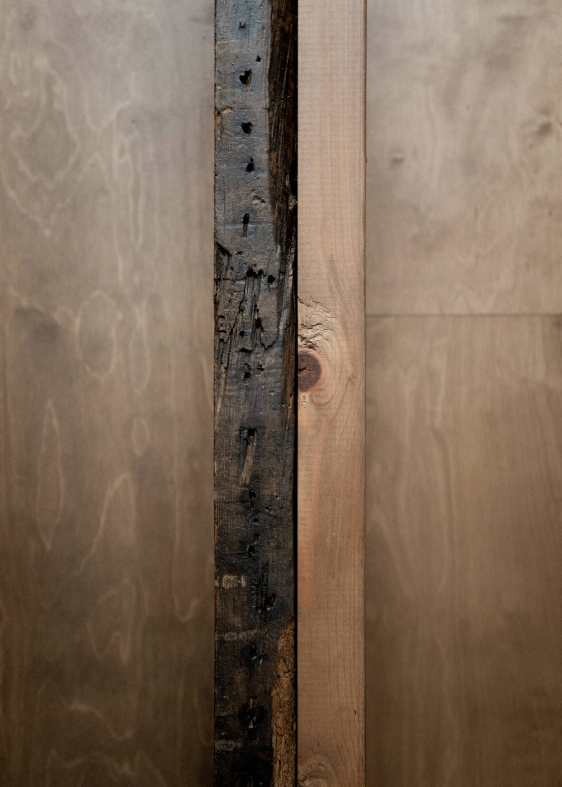 Bough Terrace wins Wood Award