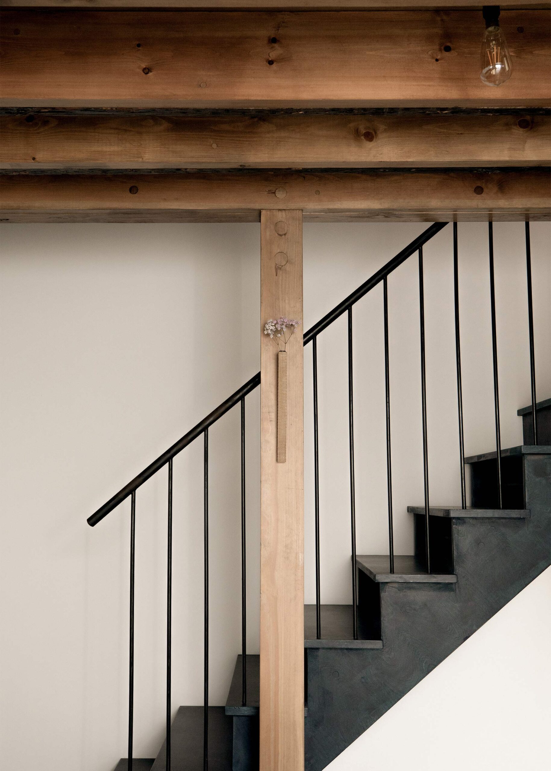 Bough Terrace wins Wood Award