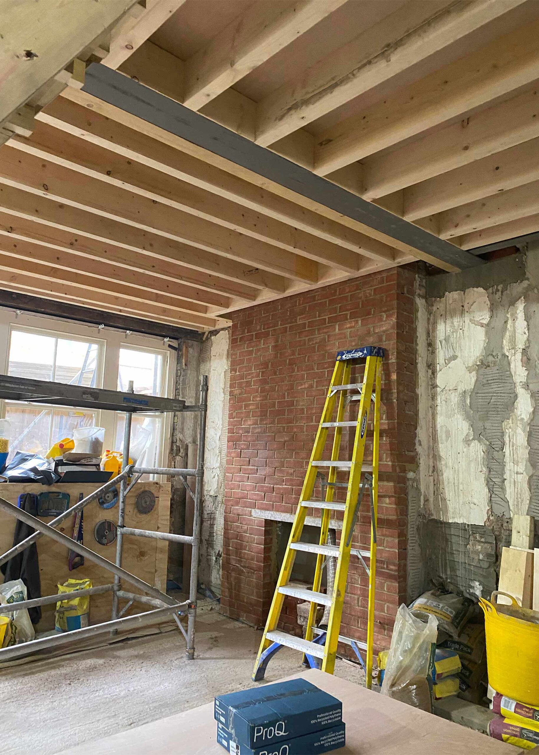 Dramatically remodelling a London mews house
