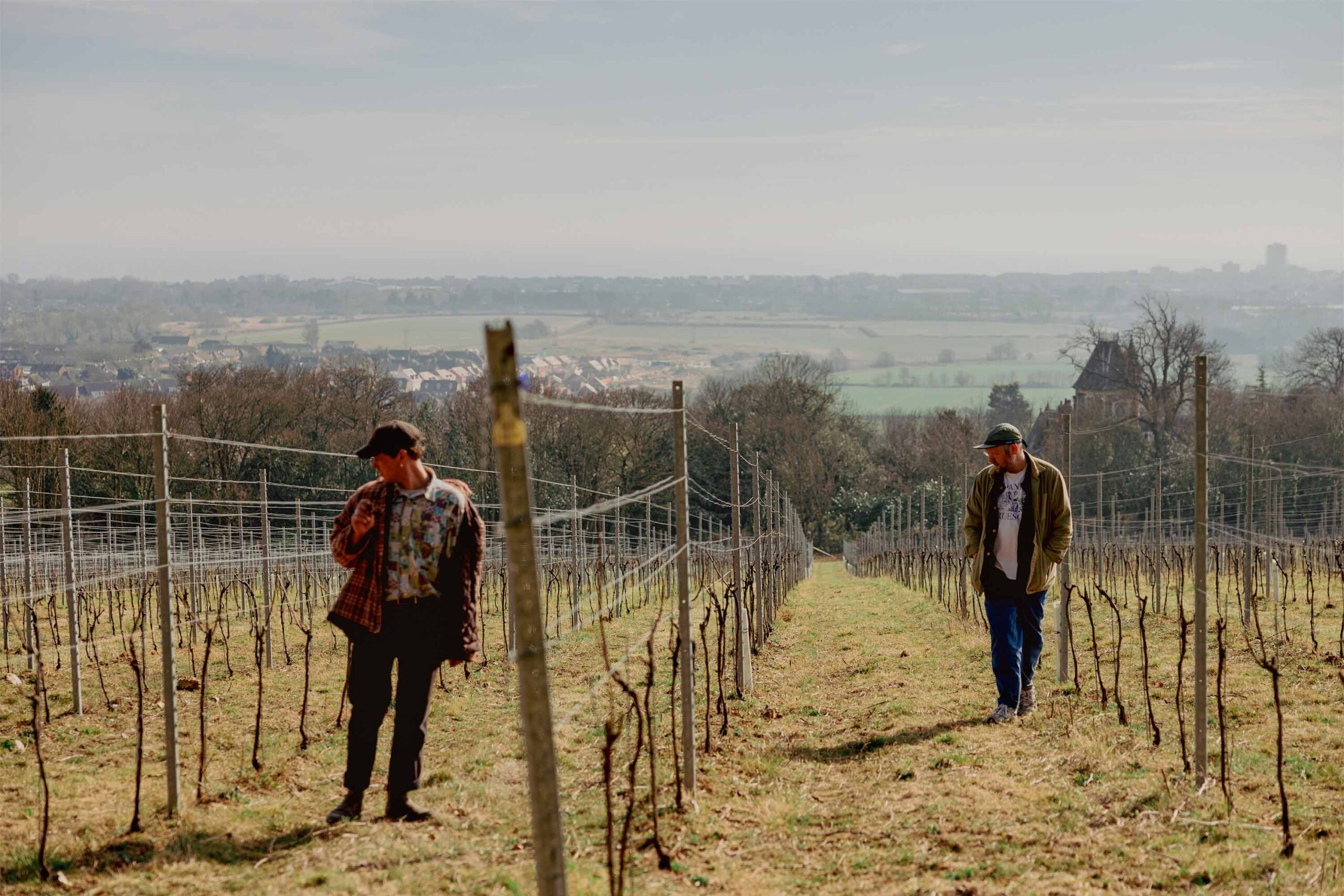 Titch Hill Winery gets the green light
