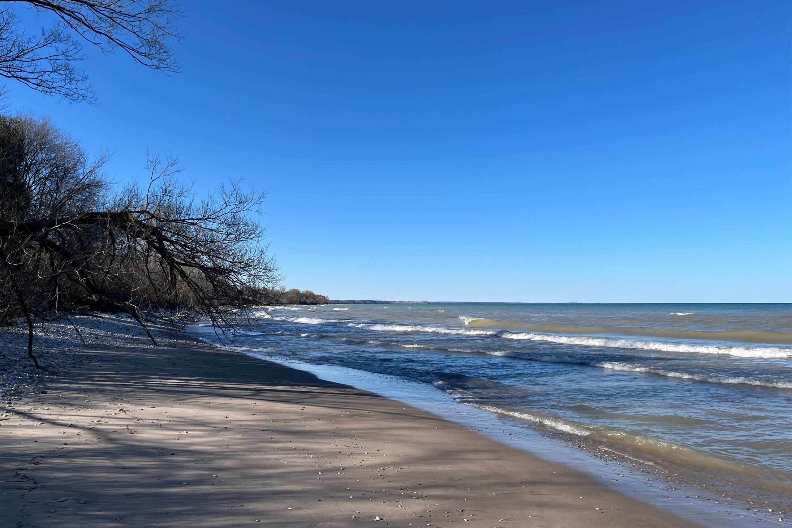 Wisconsin homestead commission unveiled